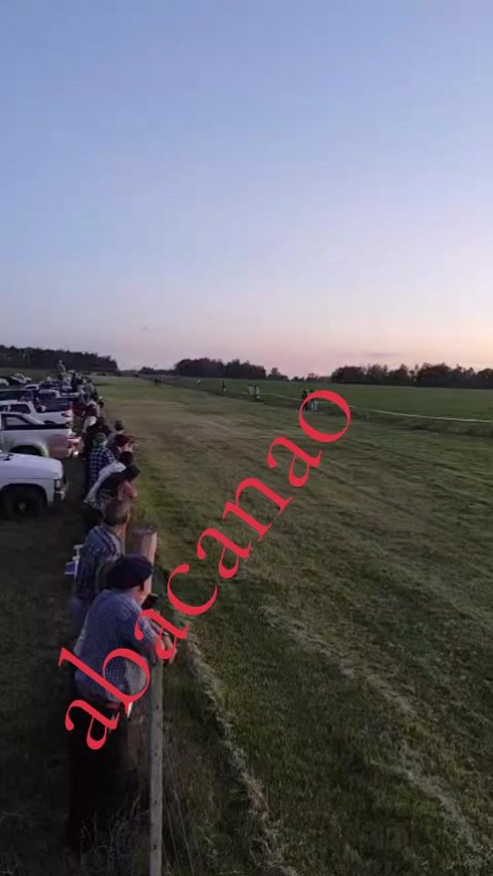 TikTok video thumbnail by wilmaricazzetti