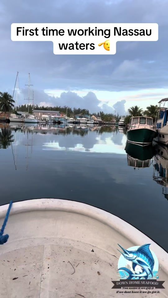 TikTok video thumbnail by downhomeseafood1