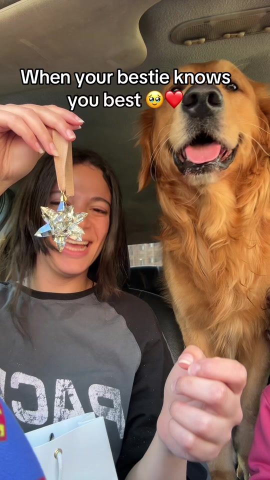TikTok video thumbnail by meemidobby