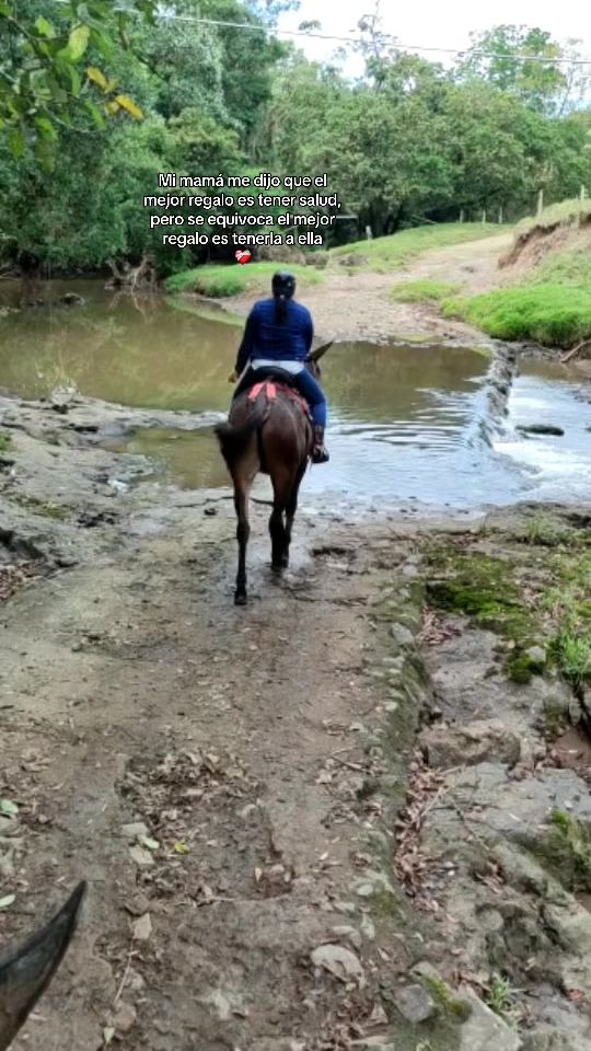TikTok video thumbnail by neygo01