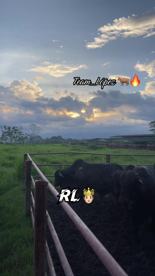 TikTok video thumbnail by _priv_gt