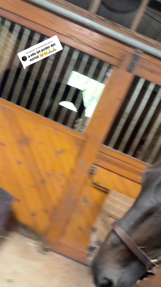 TikTok video thumbnail by antonioarriagacru