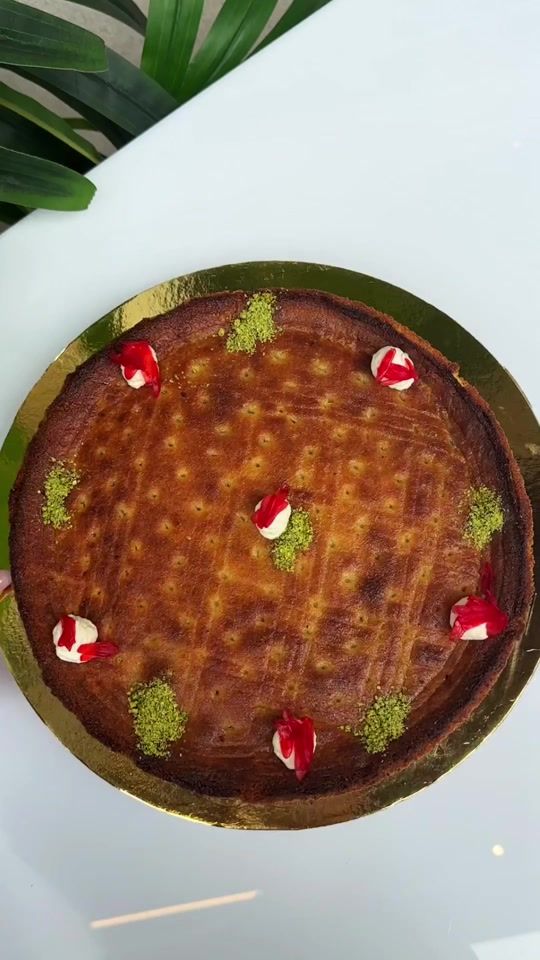 TikTok video thumbnail by arhallab1881