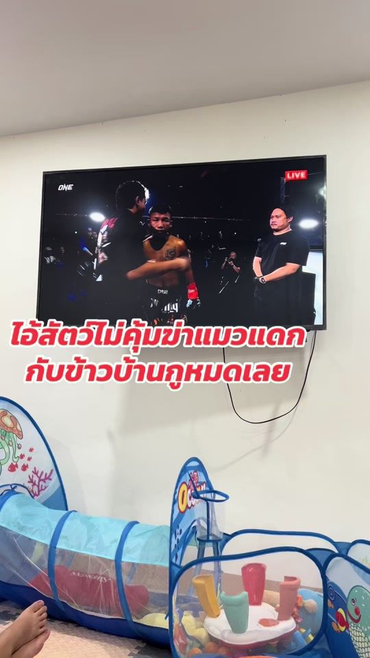 TikTok video thumbnail by srinuansangsakulsri