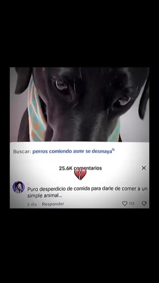 TikTok video thumbnail by coda3661
