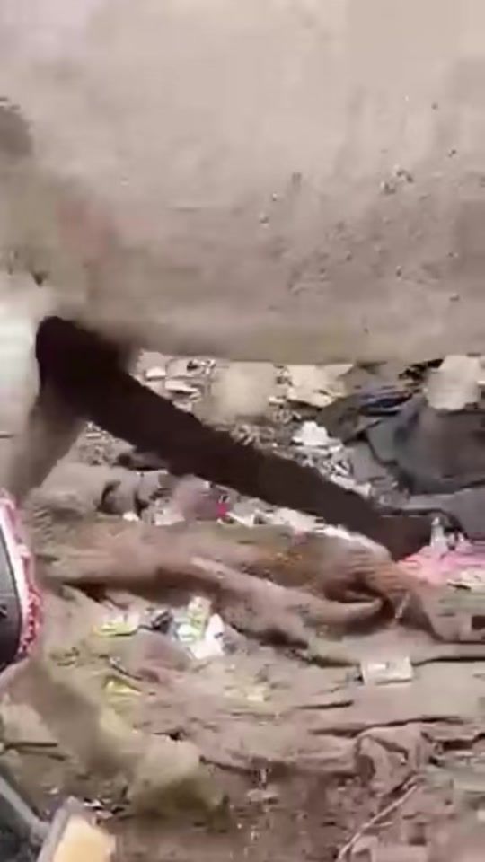 TikTok video thumbnail by user5_916