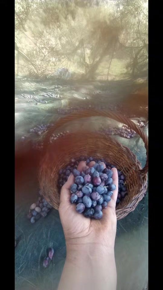 TikTok video thumbnail by lilalila95558