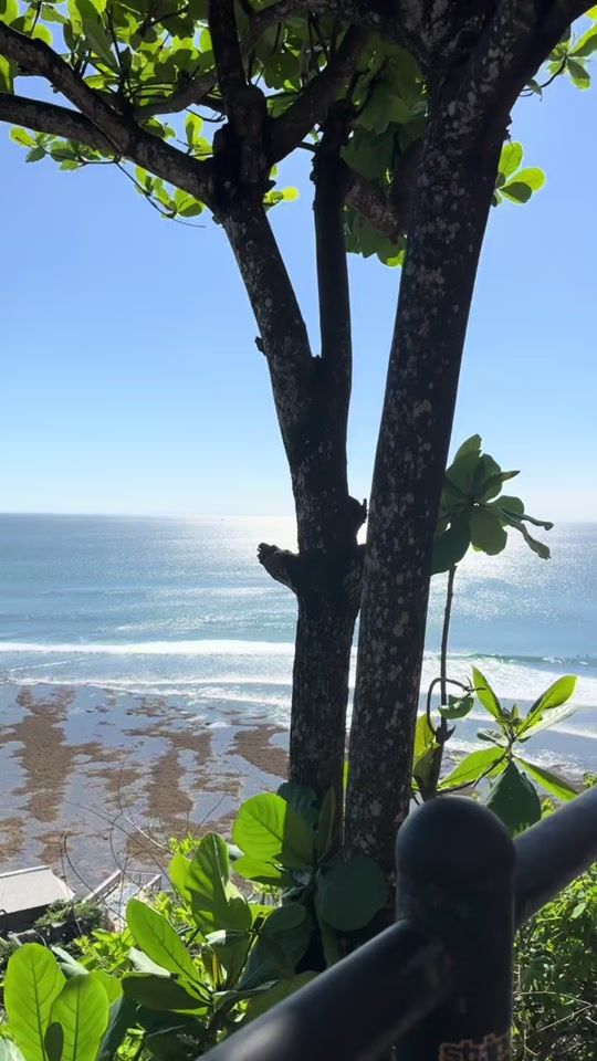 TikTok video thumbnail by mimi.perioficial