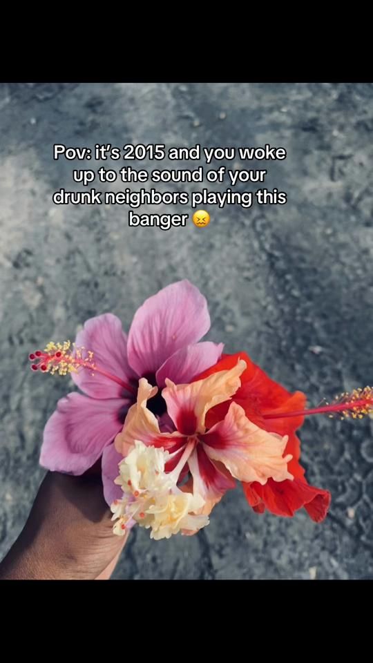 TikTok video thumbnail by pomboly