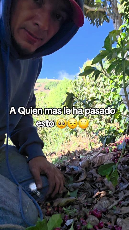 TikTok video thumbnail by el_primo_ayuda