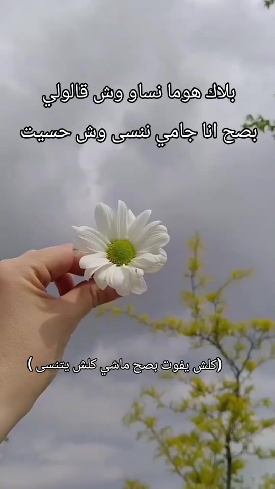 TikTok video thumbnail by mart.kamel.__19_d