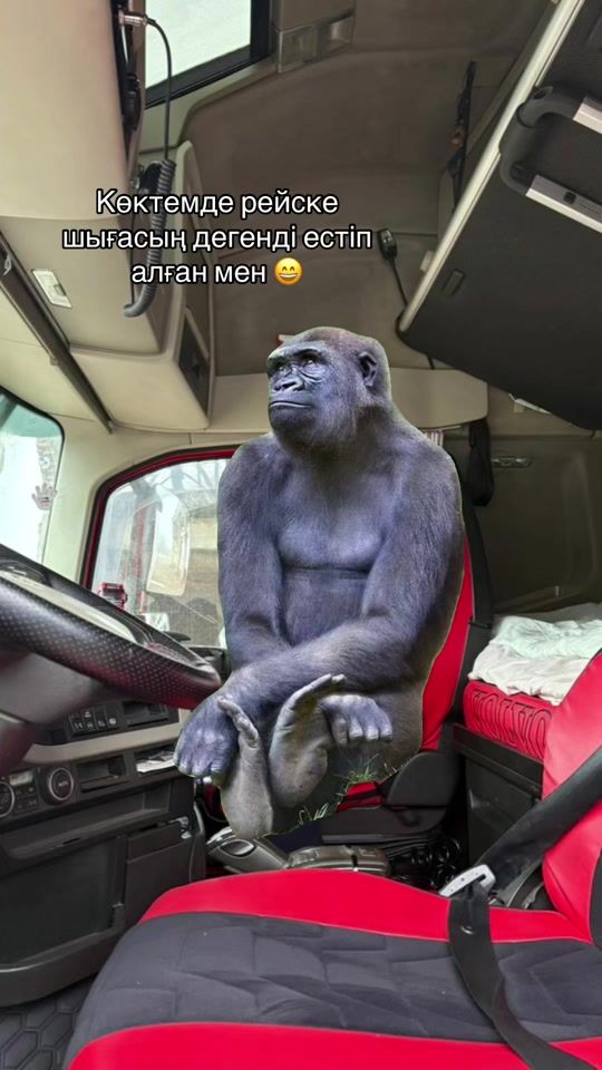 TikTok video thumbnail by the_04_a