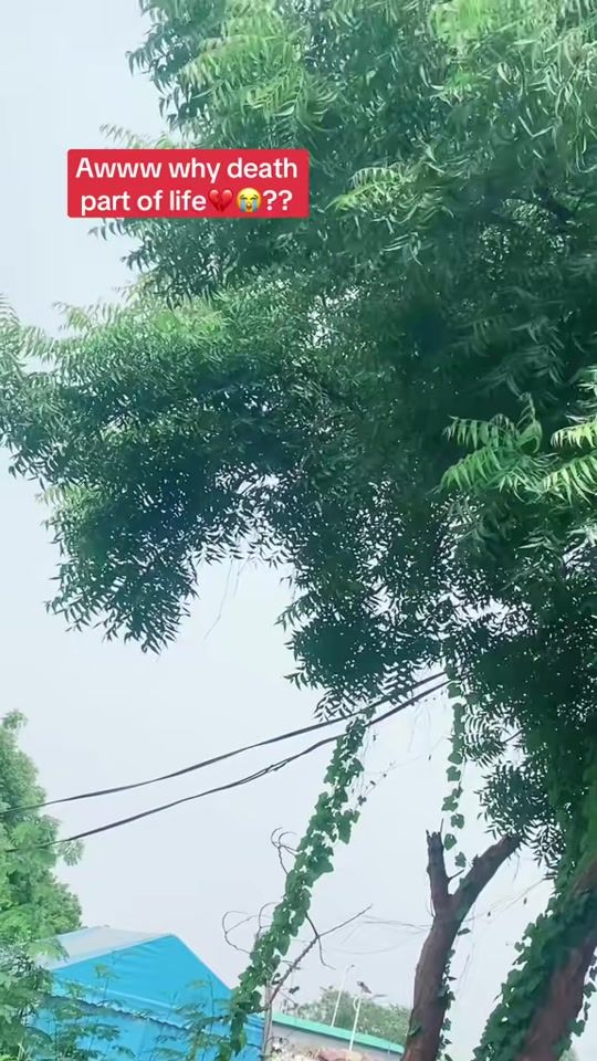 TikTok video thumbnail by fameye.ba.rock72