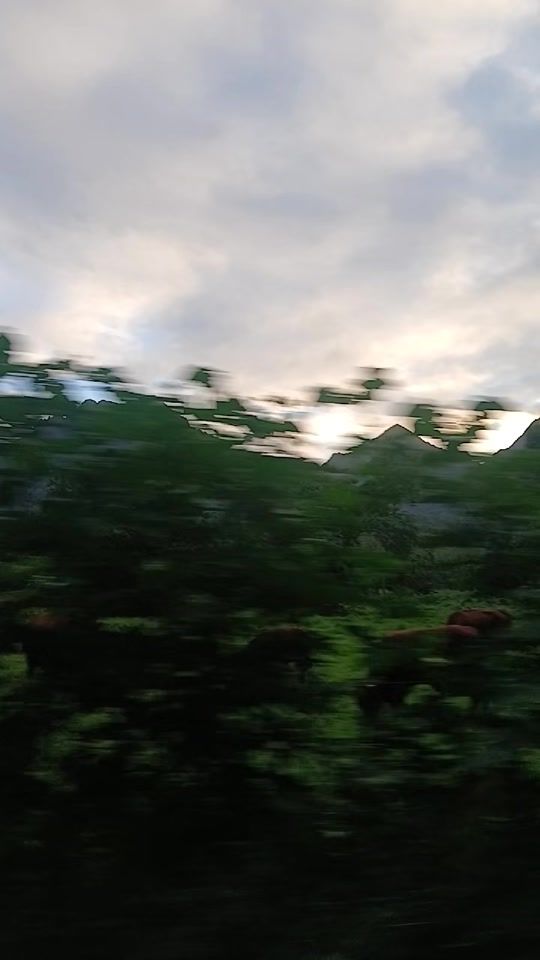 TikTok video thumbnail by lo987fkrv