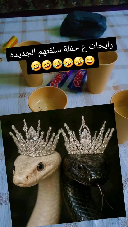 TikTok video thumbnail by d0d0035