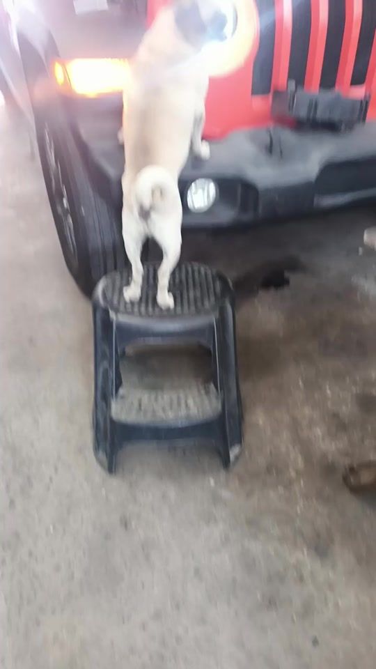 TikTok video thumbnail by calixto2007