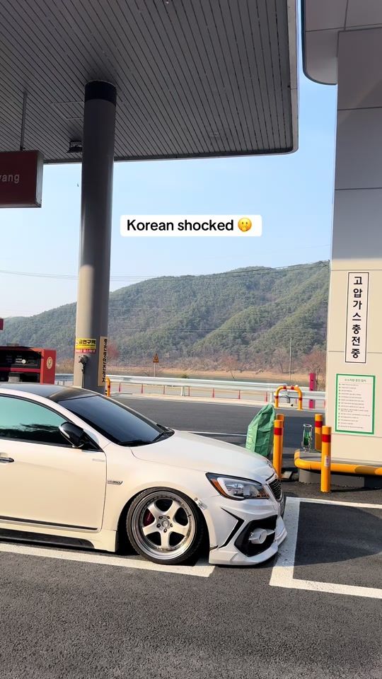 TikTok video thumbnail by wildtiger_1