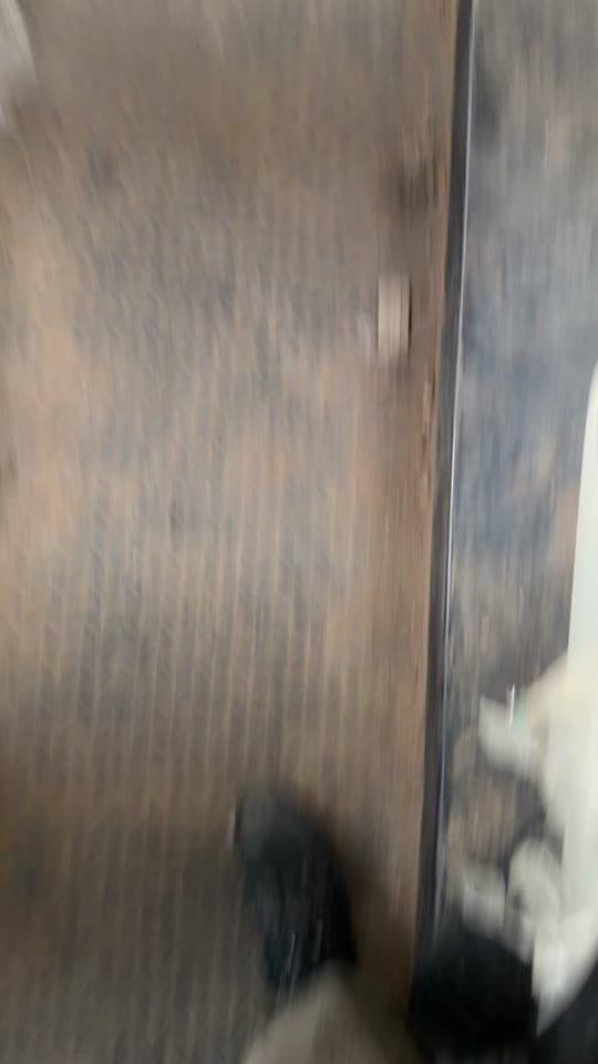 TikTok video thumbnail by roni_peretz14