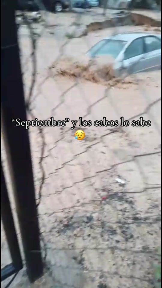 TikTok video thumbnail by meli.dom