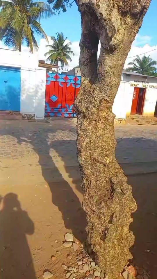 TikTok video thumbnail by murishidavid