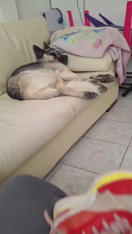 TikTok video thumbnail by vaneramos2242