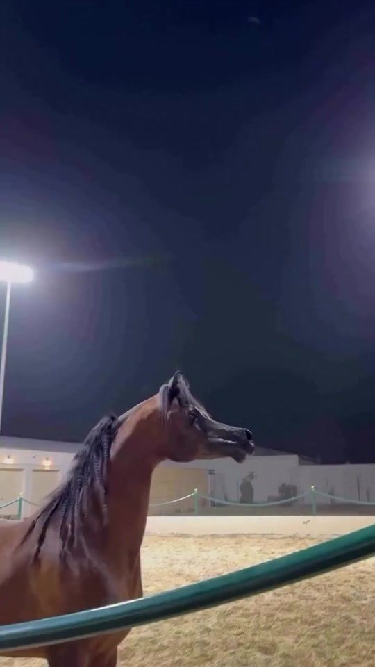TikTok video thumbnail by mahde.mahde453
