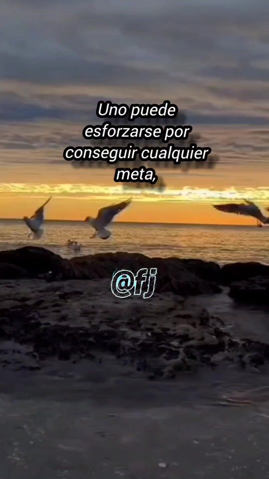 TikTok video thumbnail by fernando_jose0202