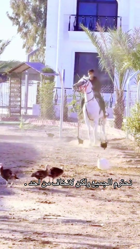 TikTok video thumbnail by bani_m7