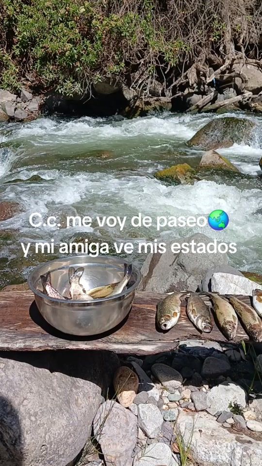TikTok video thumbnail by dennis_trebejo