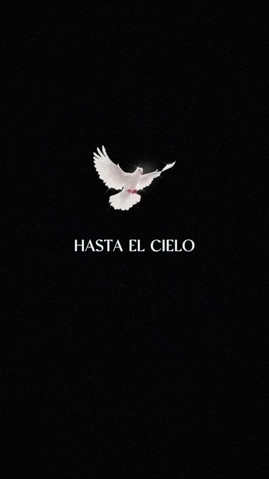 TikTok video thumbnail by martinez_jessi