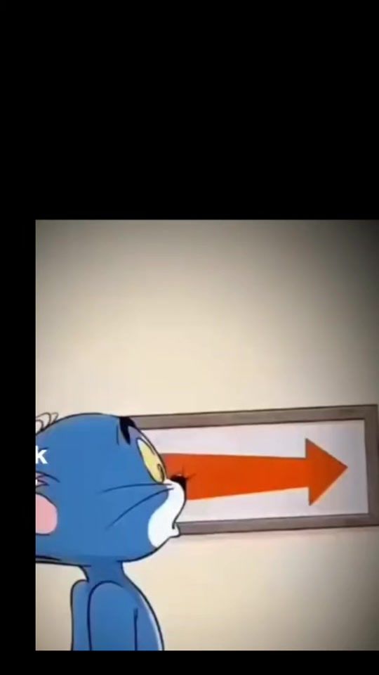 TikTok video thumbnail by 330509.0