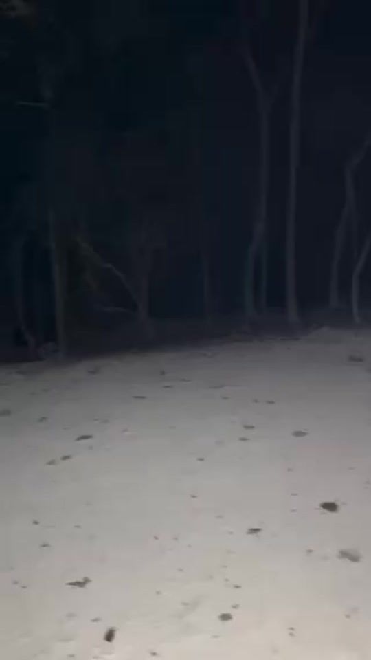 TikTok video thumbnail by mamudodja