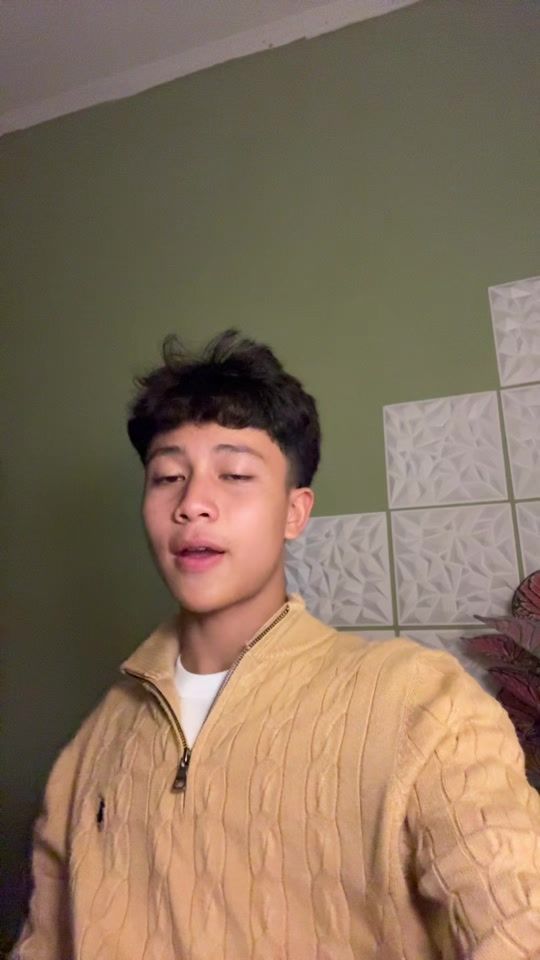 TikTok using Lantas