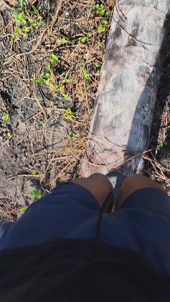 TikTok video thumbnail by luid_vela