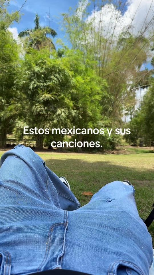 TikTok video thumbnail by alexandeeer.http
