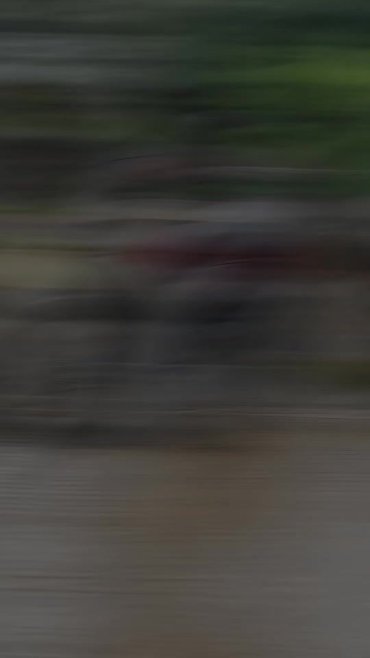 TikTok video thumbnail by mimingendhut