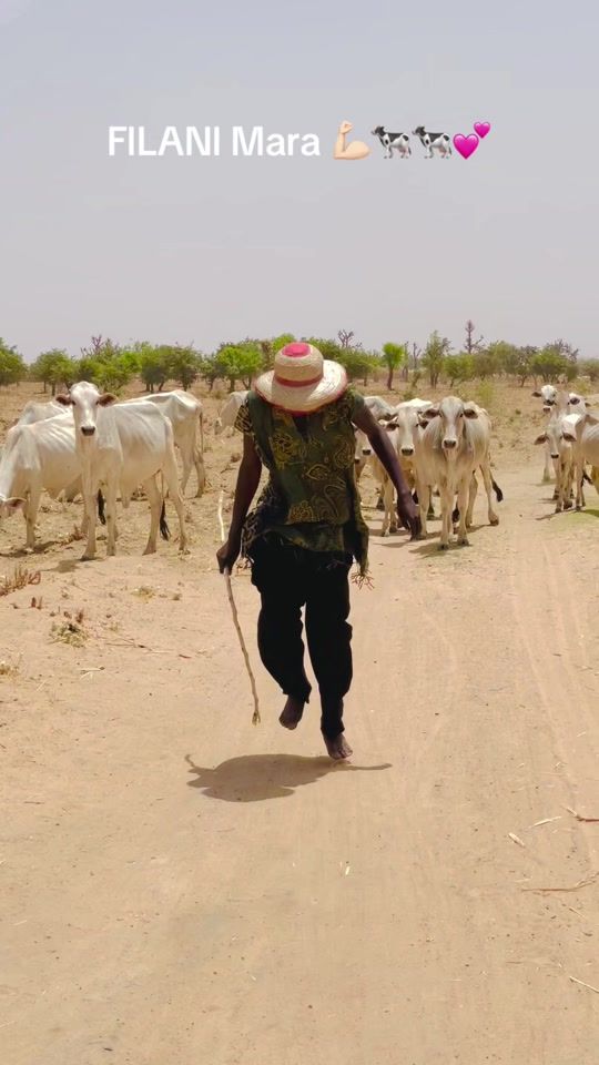 TikTok video thumbnail by danalaji2255