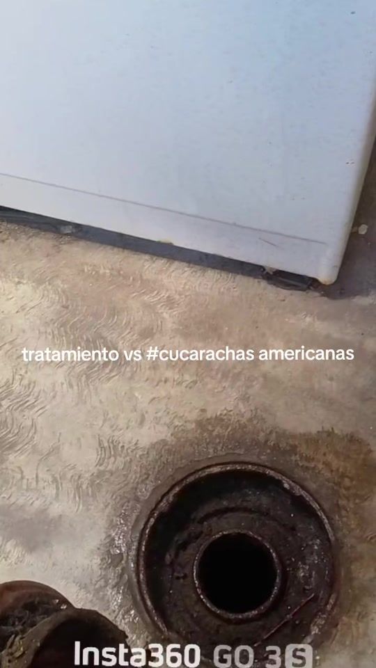 TikTok video thumbnail by fumigacionescdmx