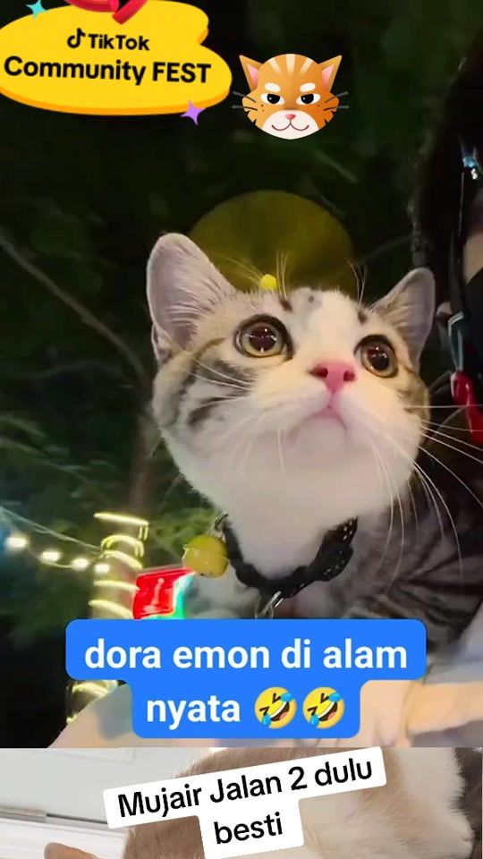 TikTok video thumbnail by 06oscar17