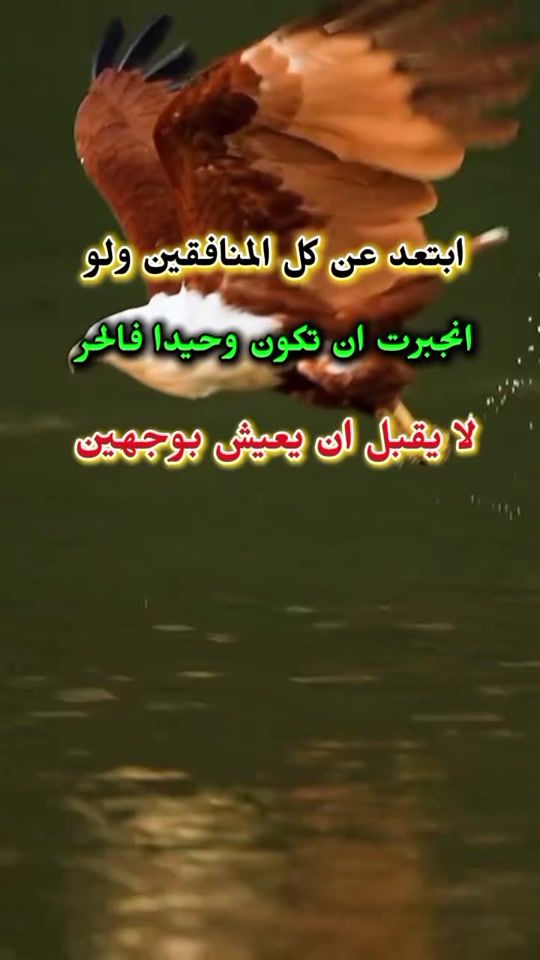 TikTok video thumbnail by the.store039
