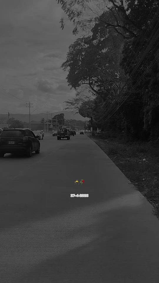 TikTok video thumbnail by canvive_504__