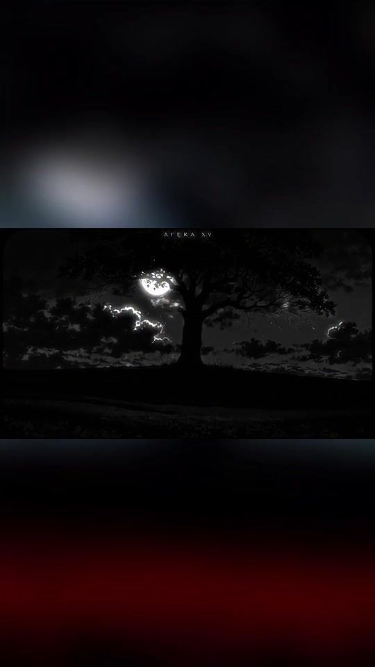 TikTok video thumbnail by ramosdeleon4