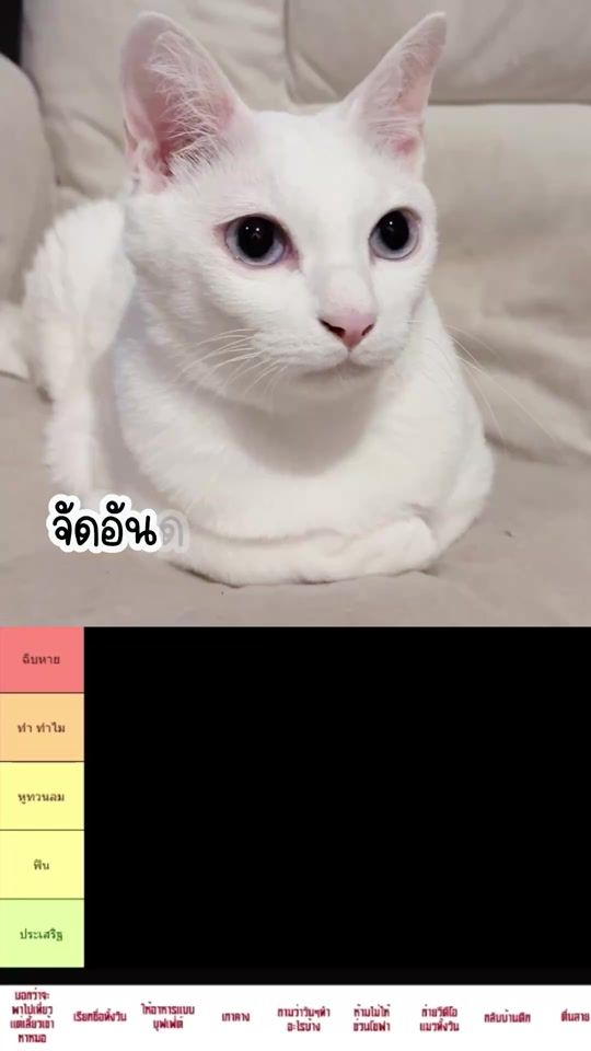 TikTok video thumbnail by alboandjerry