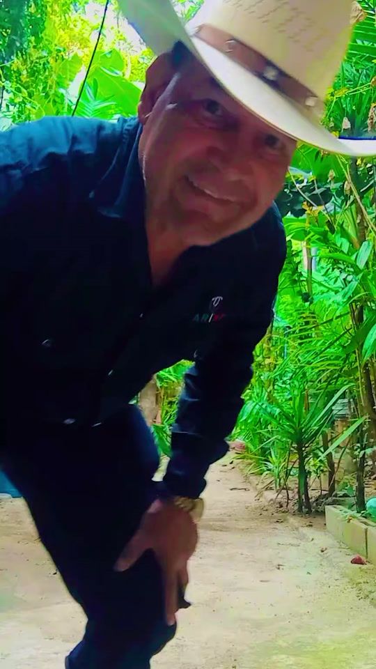 TikTok video thumbnail by rigobertoantonioa8