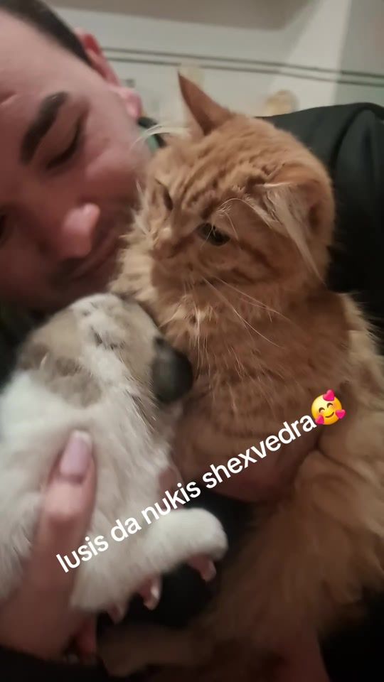 TikTok video thumbnail by maikobaramia