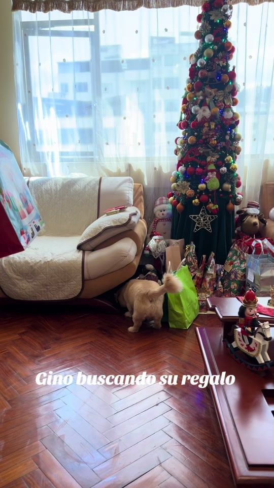 TikTok video thumbnail by gino_peluche