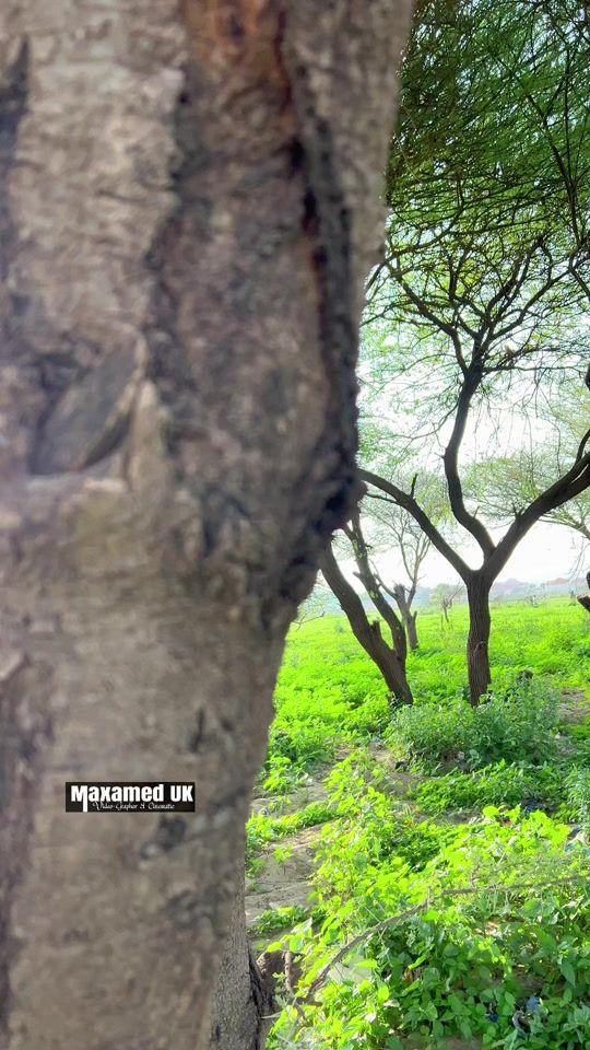 TikTok video thumbnail by mohameduk0
