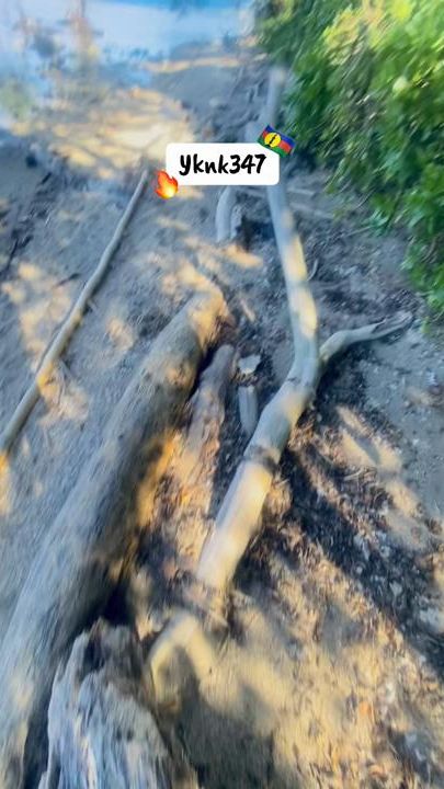 TikTok video thumbnail by yknk_347