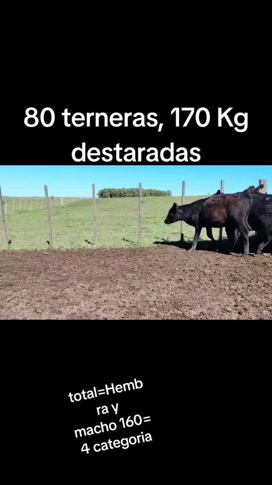 TikTok video thumbnail by elqueridoo