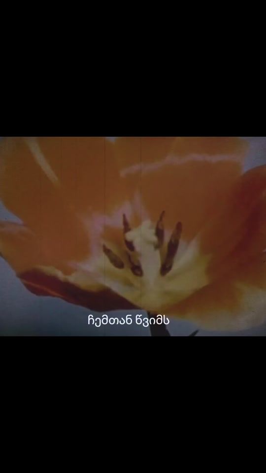 TikTok video thumbnail by ninalats